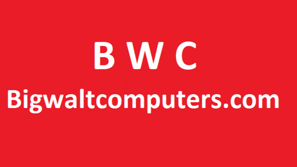 Bigwaltcomputers.com